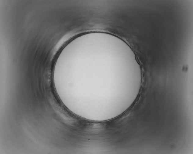 X0000110670056200907021856