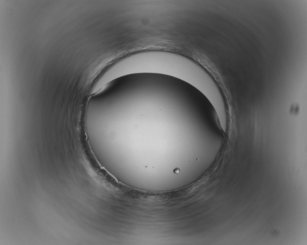 X0000110670058200907021856