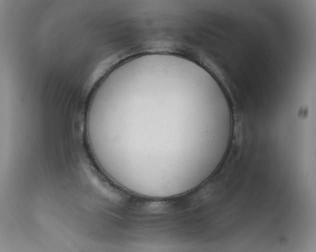 X0000110670059200907021856