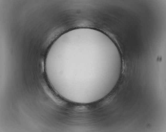 X0000110670061200907021856