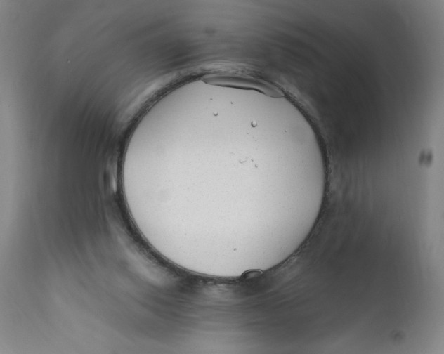 X0000110670062200907021856