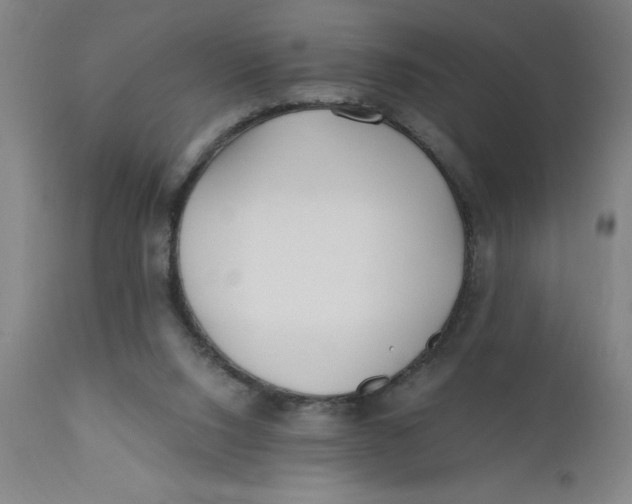 X0000110670064200907021856