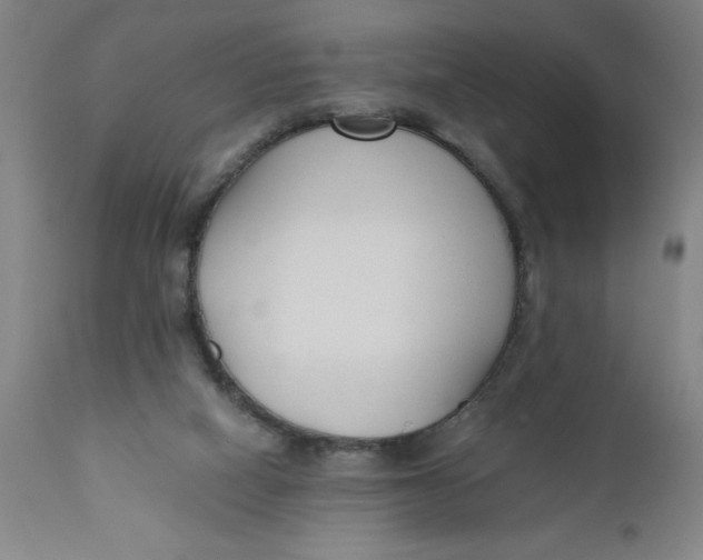 X0000110670066200907021856