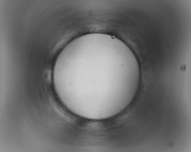 X0000110670067200907021856