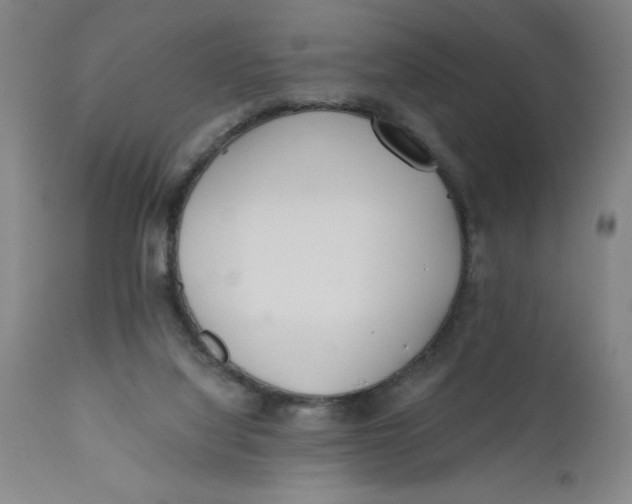 X0000110670068200907021856