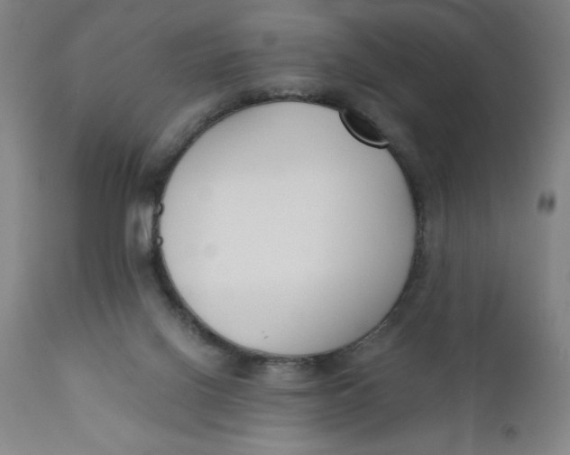 X0000110670070200907021856
