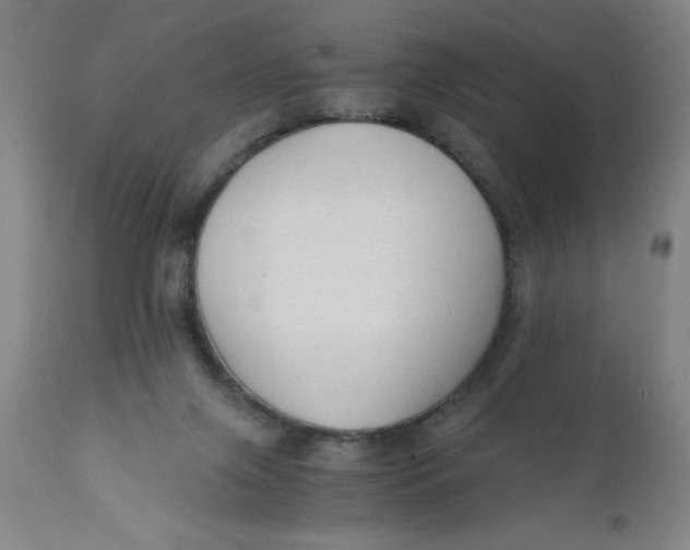 X0000110670071200907021856