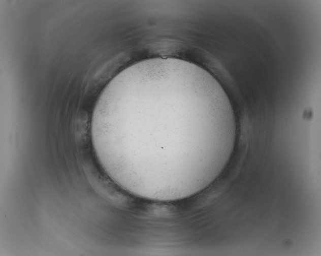 X0000110670073200907021856