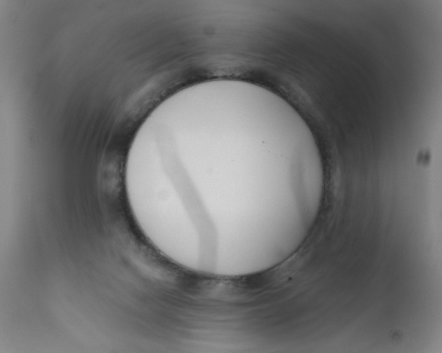 X0000110670074200907021856
