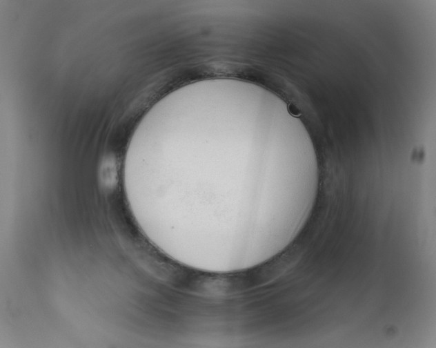 X0000110670075200907021856