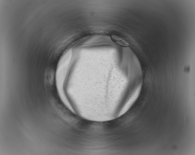 X0000110670076200907021856