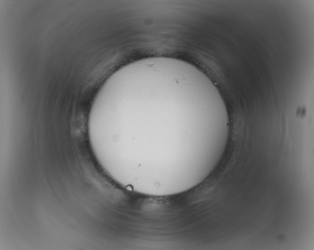 X0000110670077200907021856