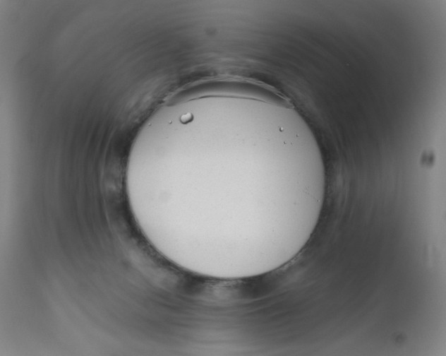 X0000110670078200907021856