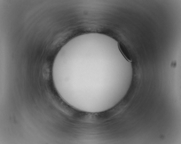 X0000110670080200907021856