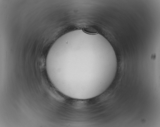 X0000110670081200907021856
