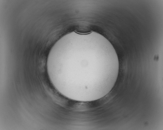 X0000110670082200907021856