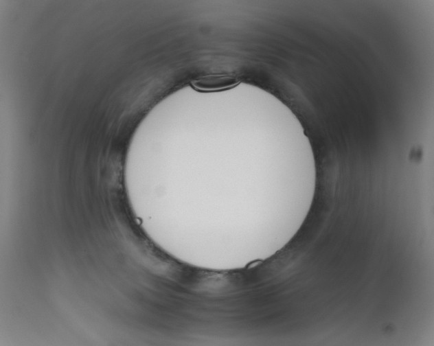 X0000110670083200907021856