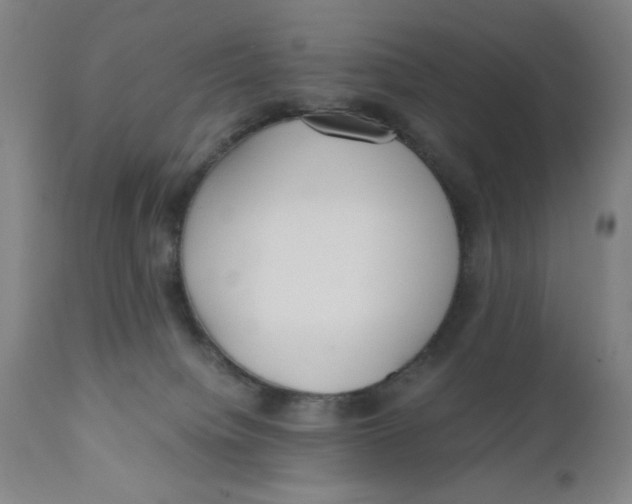 X0000110670084200907021856