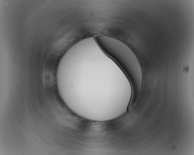 X0000110670088200907021856
