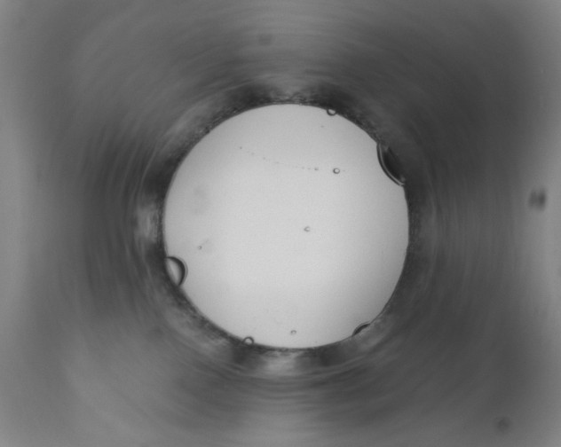 X0000110670090200907021856