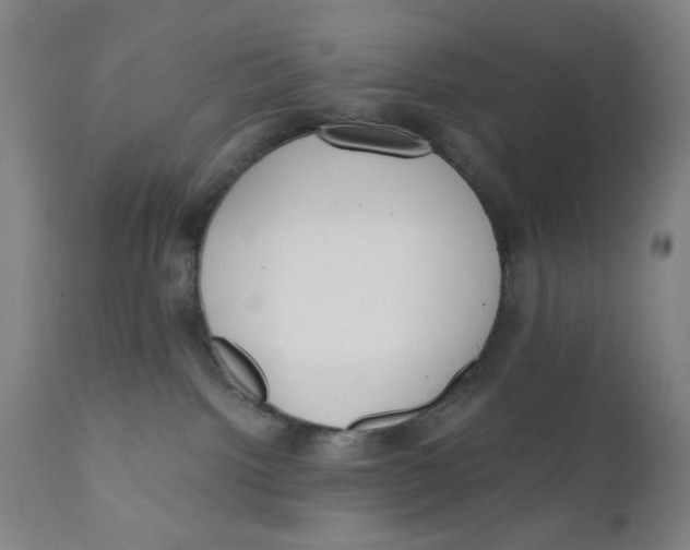 X0000110670092200907021856