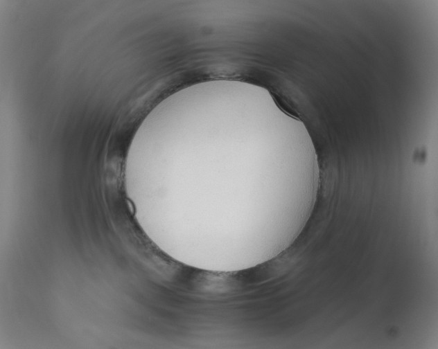 X0000110670093200907021856