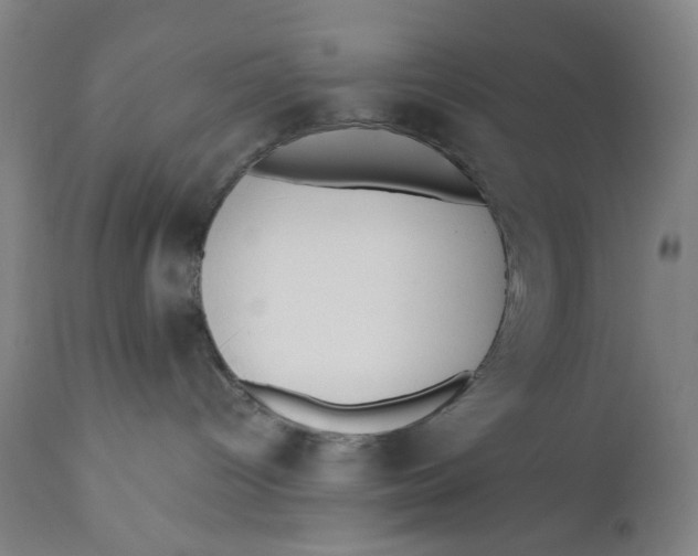 X0000110670096200907021856