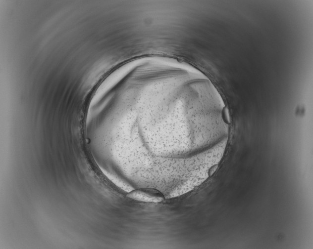 X0000110670098200907021856