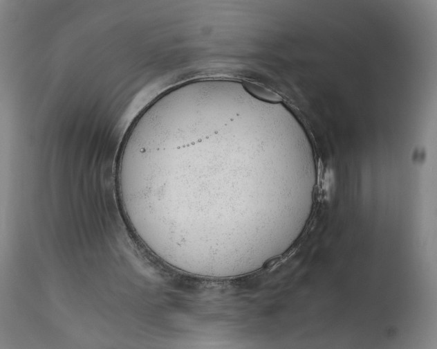 X0000110670099200907021856