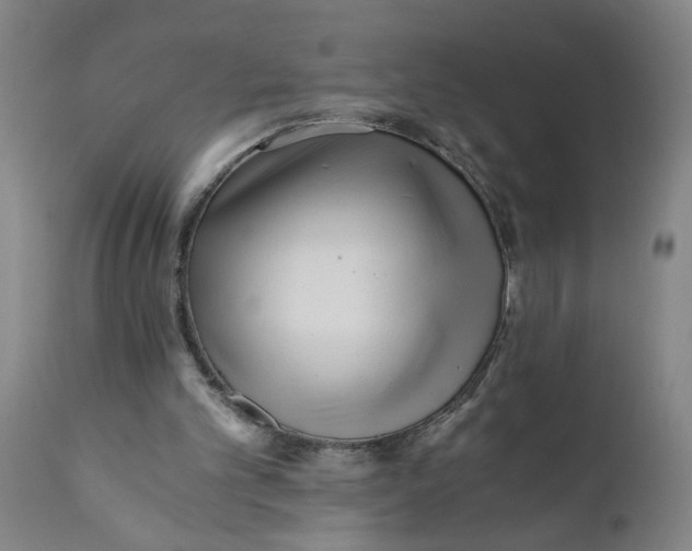 X0000110670101200907021856