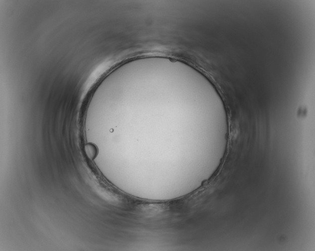 X0000110670102200907021856