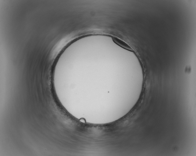 X0000110670103200907021856