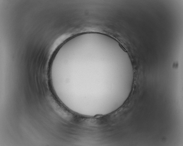 X0000110670104200907021856