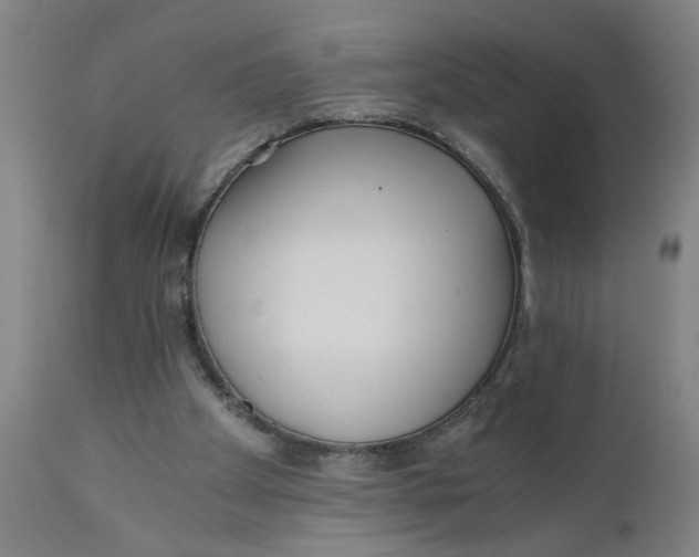 X0000110670105200907021856