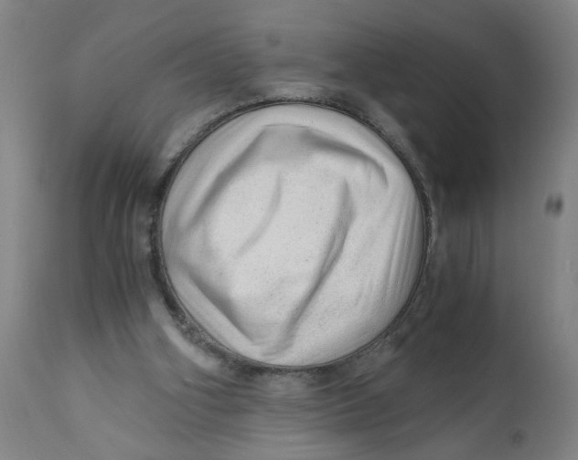 X0000110670106200907021856