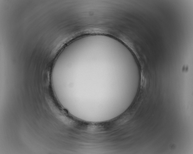 X0000110670109200907021856