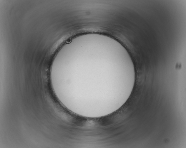 X0000110670111200907021856
