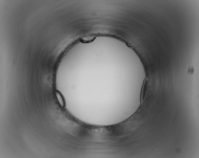 X0000110670112200907021855
