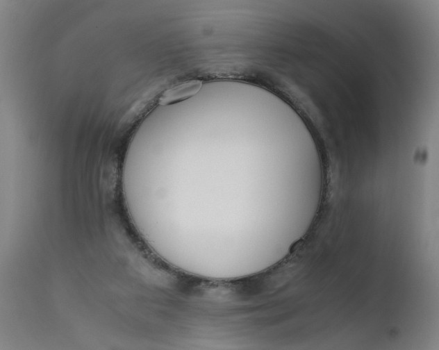 X0000110670113200907021855