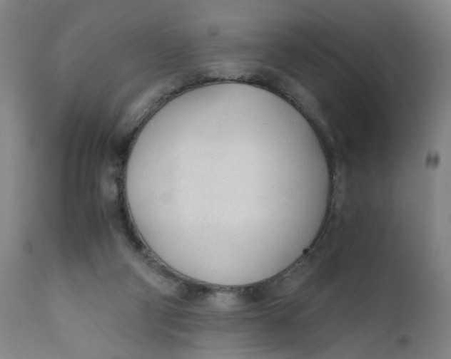 X0000110670114200907021855