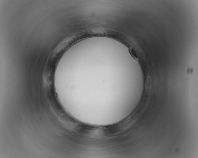 X0000110670116200907021855