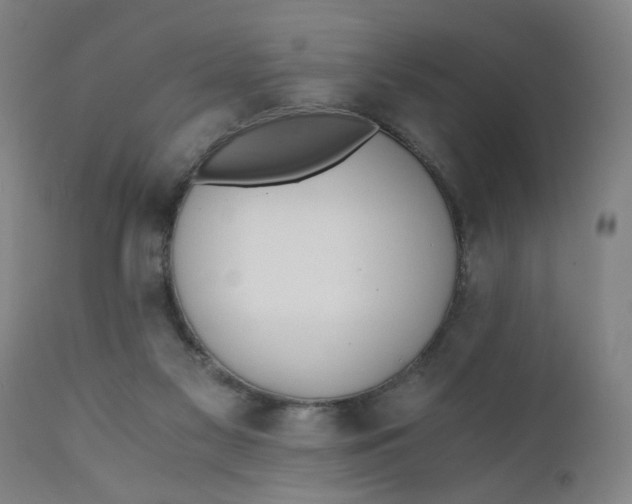 X0000110670117200907021855