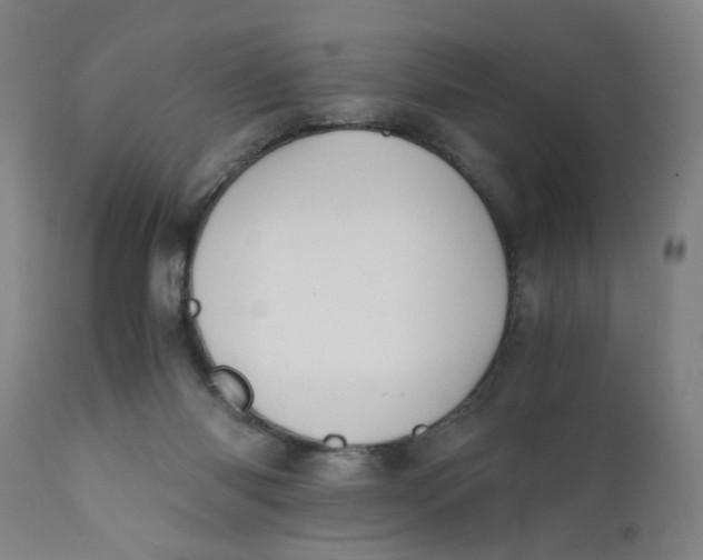 X0000110670118200907021855