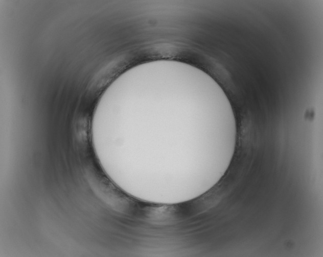 X0000110670122200907021855
