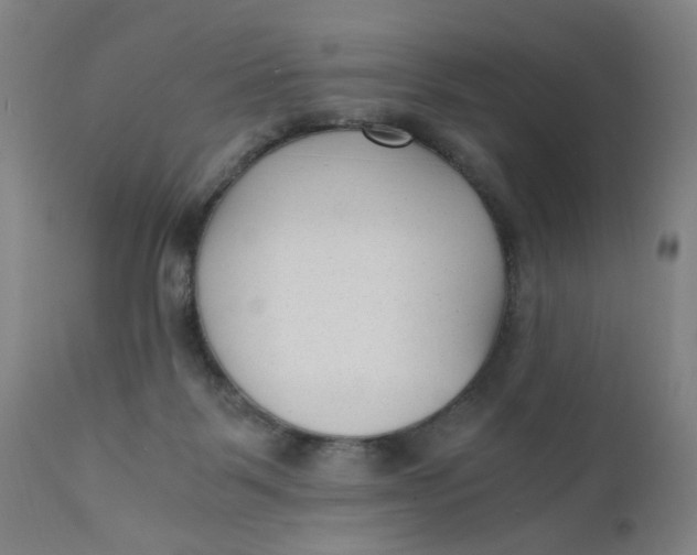 X0000110670123200907021855