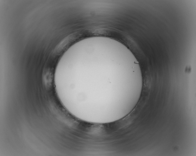 X0000110670124200907021855