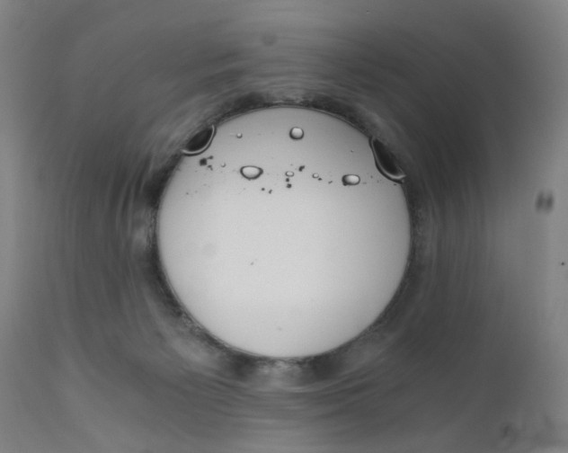 X0000110670125200907021855