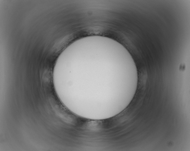 X0000110670126200907021855