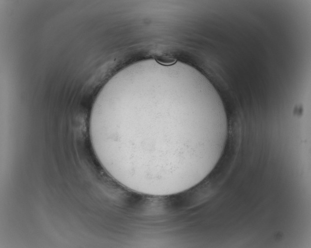 X0000110670127200907021855