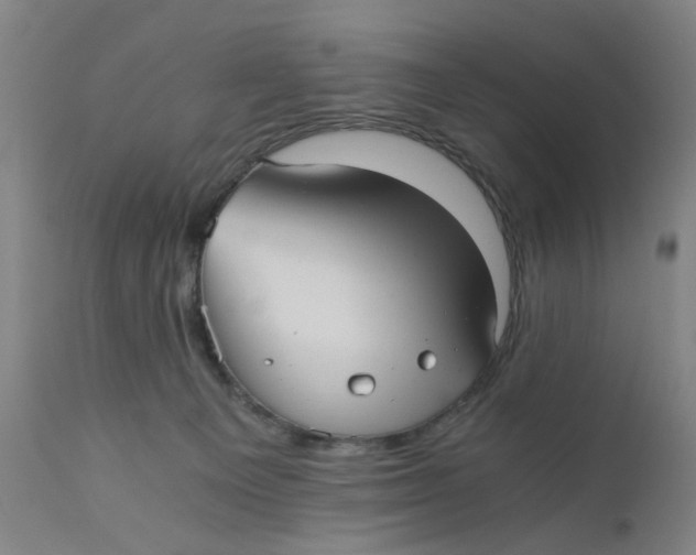 X0000110670129200907021855